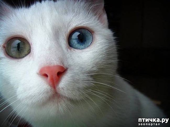 ���� 2: ������ ���� ����