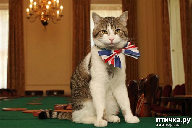 ���� 3: ������ ���� ����