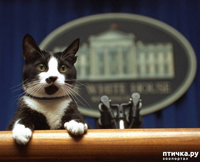 ���� 4: ������ ���� ����