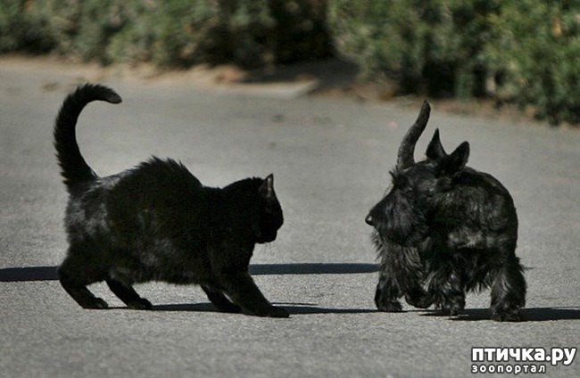 ���� 5: ������ ���� ����