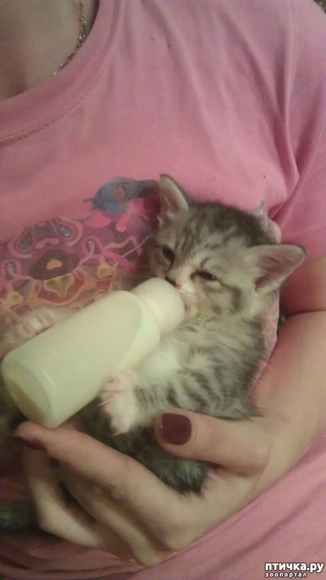 ���� 2: ��� ������... ��� �������� ������