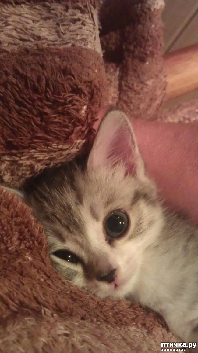 ���� 3: ��� ������... ��� �������� ������