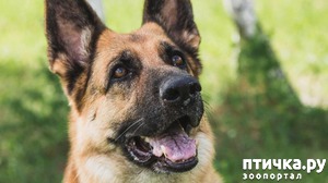 ����: ��� ��������� ��� �������� ��� ���������� ���������)