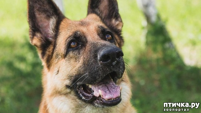 ���� 1: ��� ��������� ��� �������� ��� ���������� ���������)