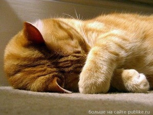 ����: ������ ����� ������ ���.