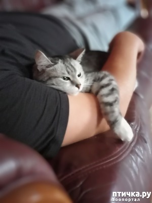 ����: ��� ������... ��� �������� ������