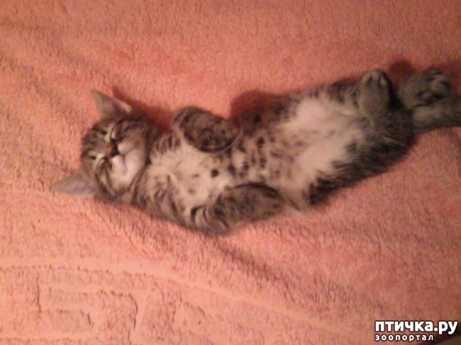 ���� 1: ������� �������������, ���� ����� ������.