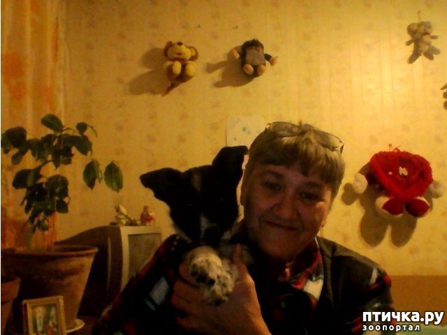 ���� 1: �Ψ ��������� �������