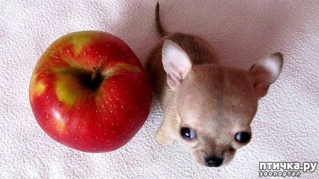 ���� 2: ����� ��������� ������� � ����! ���� �������� ���� ��������...