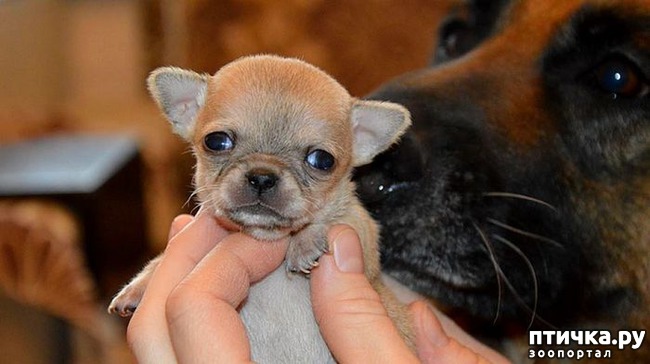 ���� 3: ����� ��������� ������� � ����! ���� �������� ���� ��������...