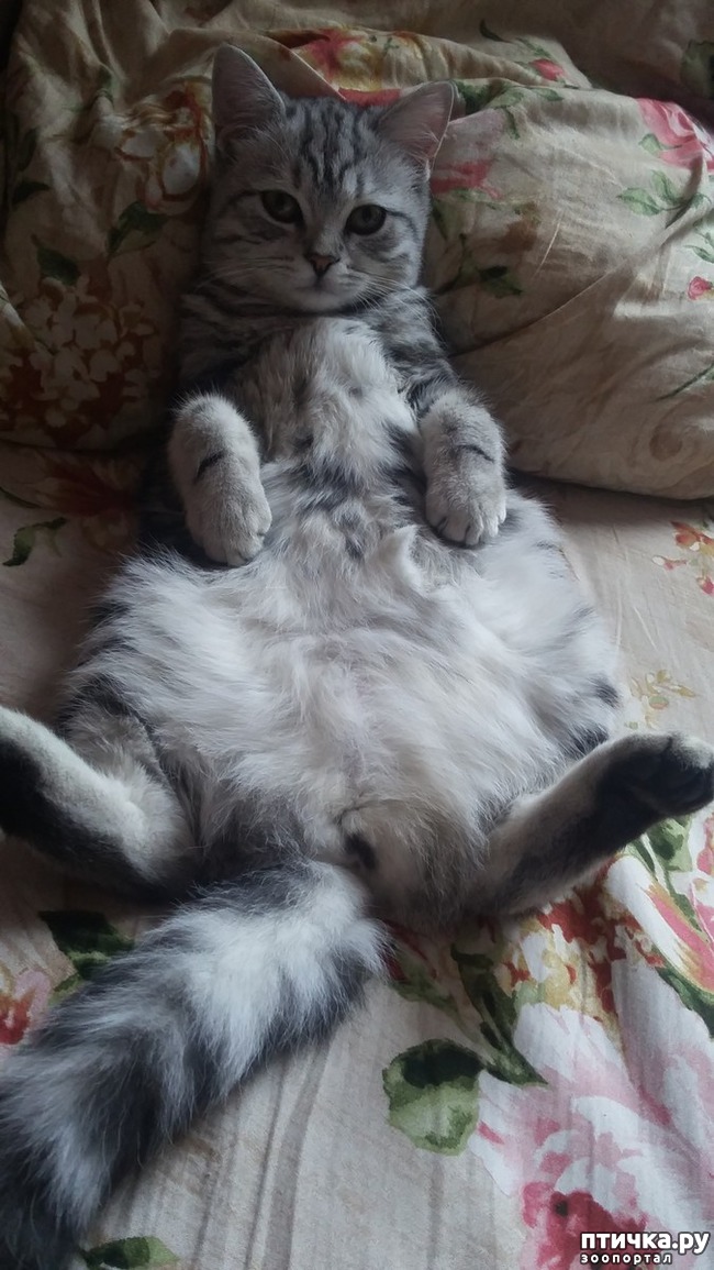 ���� 1: ��������