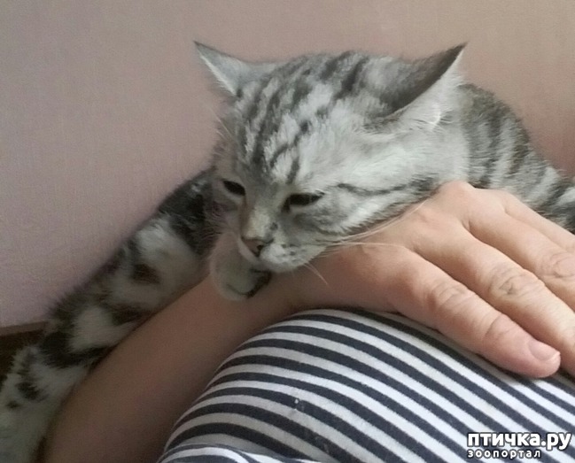 ���� 8: ��������