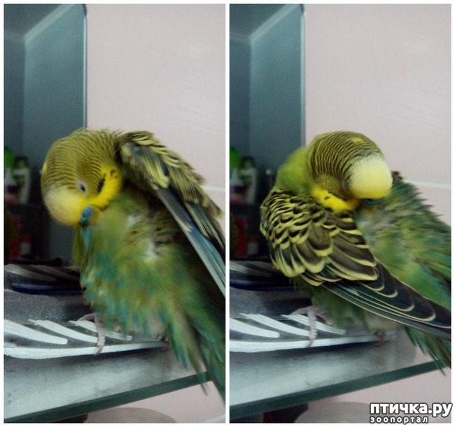 ���� 2: ���� ��������� ���