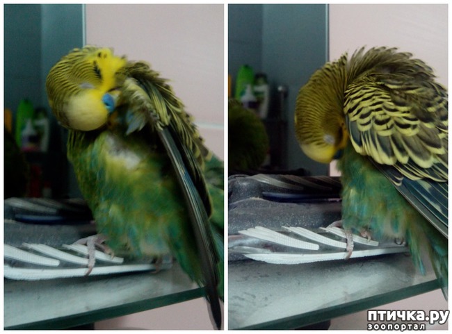 ���� 3: ���� ��������� ���