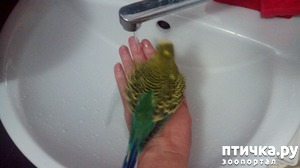 ����: ���� ��������� ���