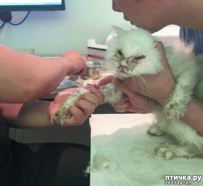 ���� 3: ������� �������� ����� ��������� � �����������