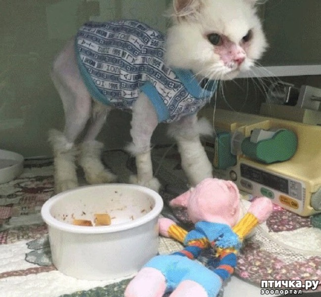 ���� 4: ������� �������� ����� ��������� � �����������