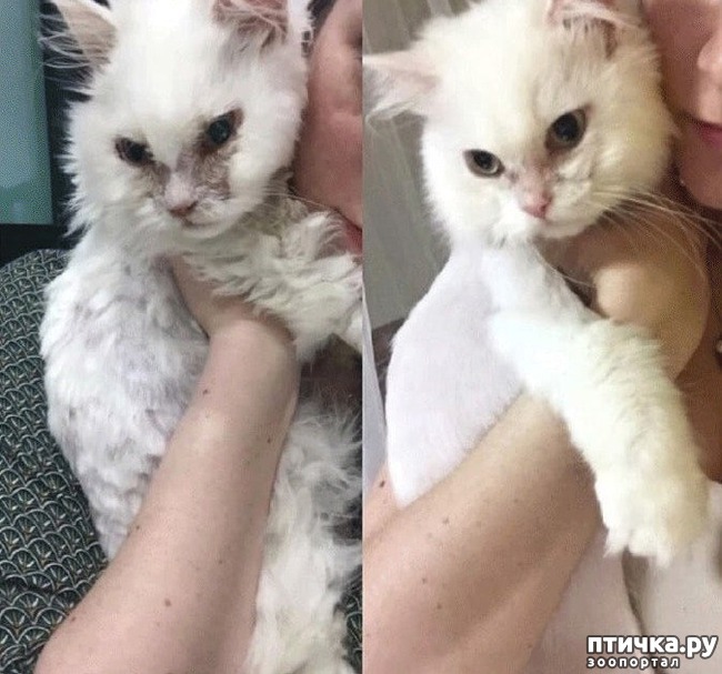 ���� 5: ������� �������� ����� ��������� � �����������