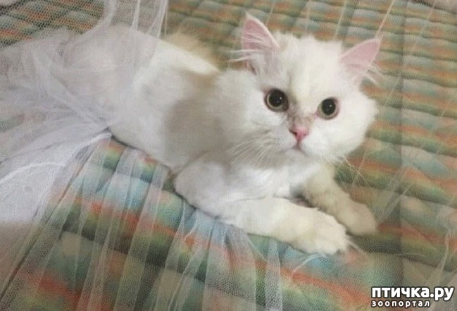 ���� 6: ������� �������� ����� ��������� � �����������