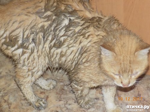 ���� 3: ��������� ������ ������������