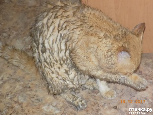 ���� 4: ��������� ������ ������������