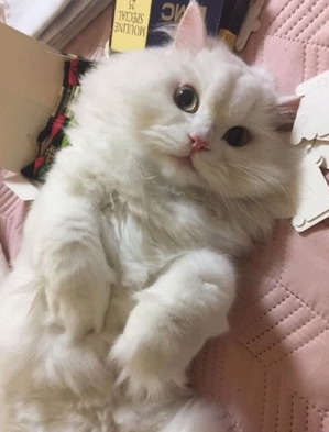 ����: ������� �������� ����� ��������� � �����������