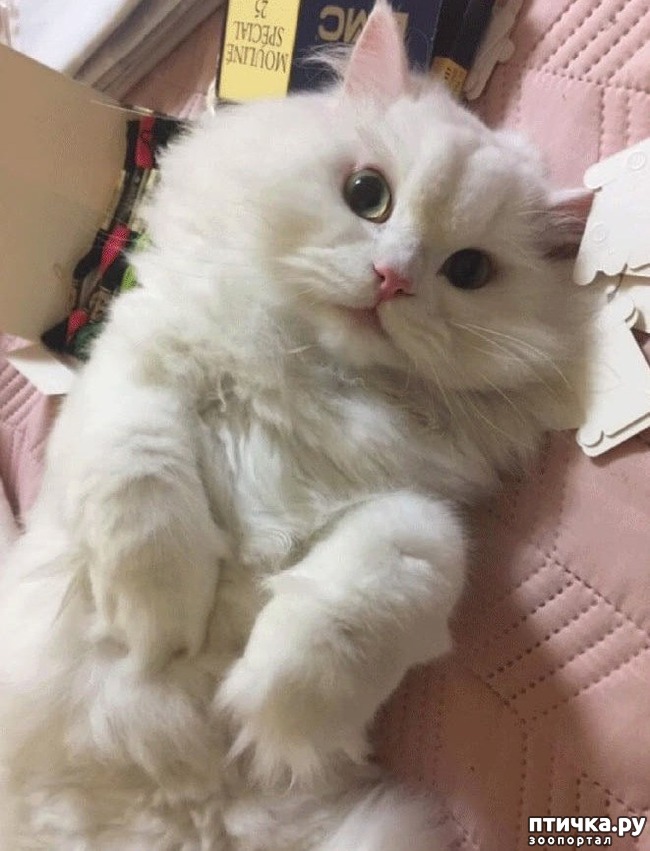 ���� 1: ������� �������� ����� ��������� � �����������