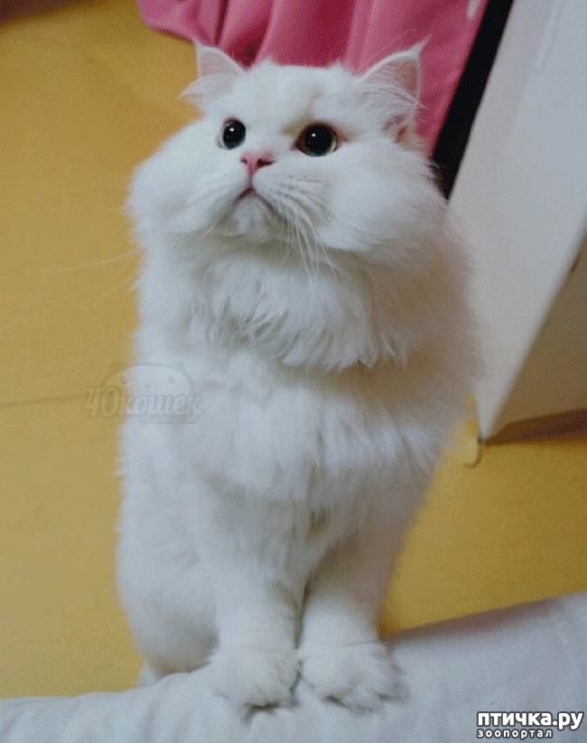 ���� 7: ������� �������� ����� ��������� � �����������