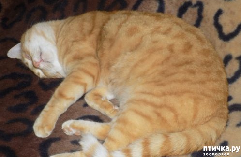 ���� 5: ��������� ������ ������������