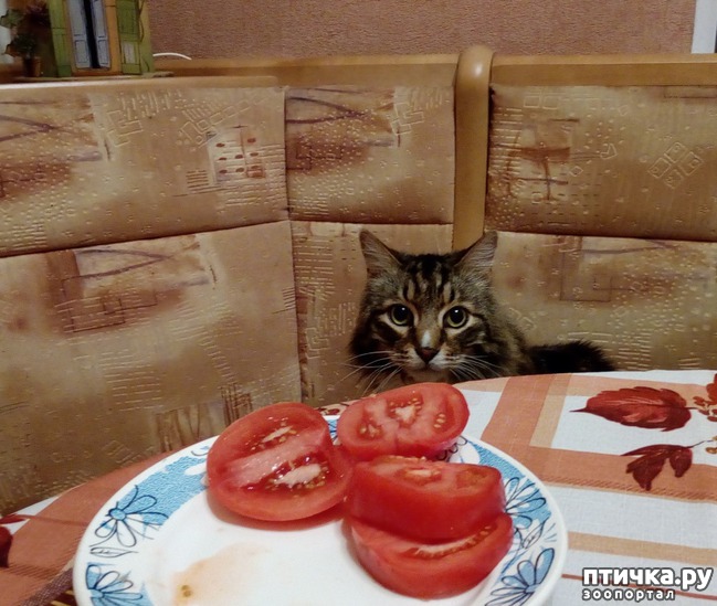 ���� 1: � ���� ������� ����� ����� ���, ��� ����� �� ����)))