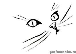 ���� 1: ��������� ������ ������������