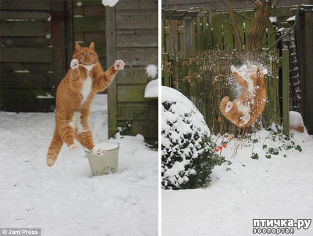 ���� 4: ��������, ��������� ���� �������)))