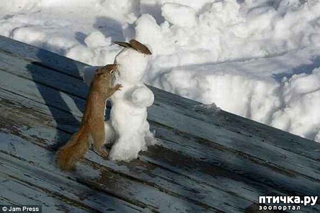 ���� 5: ��������, ��������� ���� �������)))