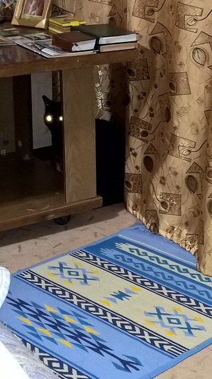 ����: ��� �� ���������, � �� ��������