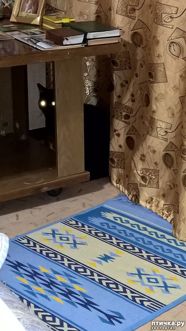 ���� 1: ��� �� ���������, � �� ��������