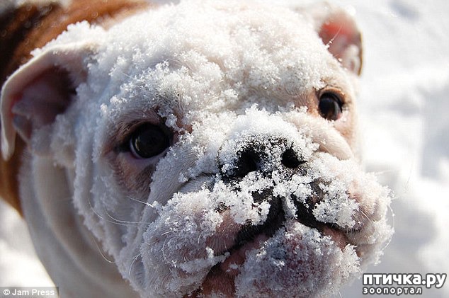 ���� 8: ��������, ��������� ���� �������)))