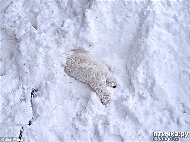 ���� 11: ��������, ��������� ���� �������)))