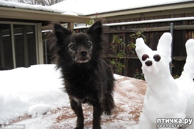 ���� 13: ��������, ��������� ���� �������)))