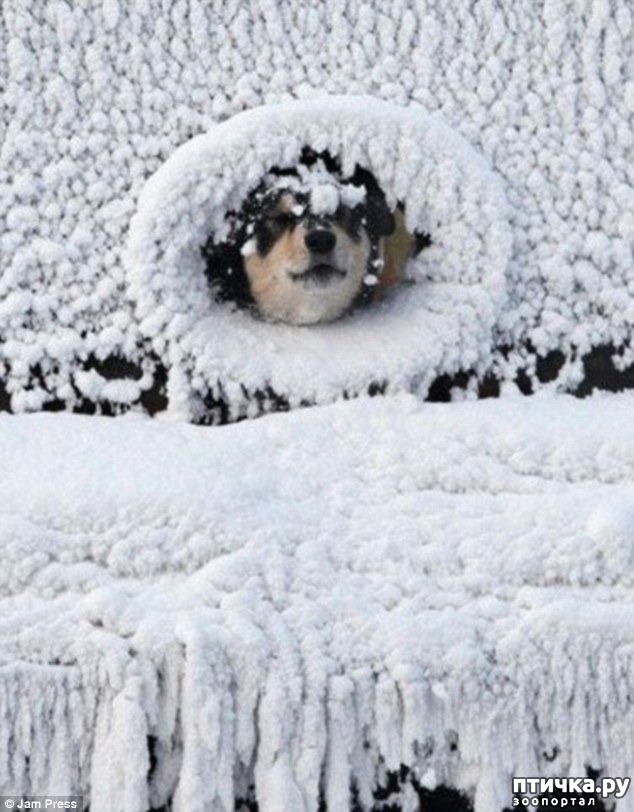 ���� 14: ��������, ��������� ���� �������)))