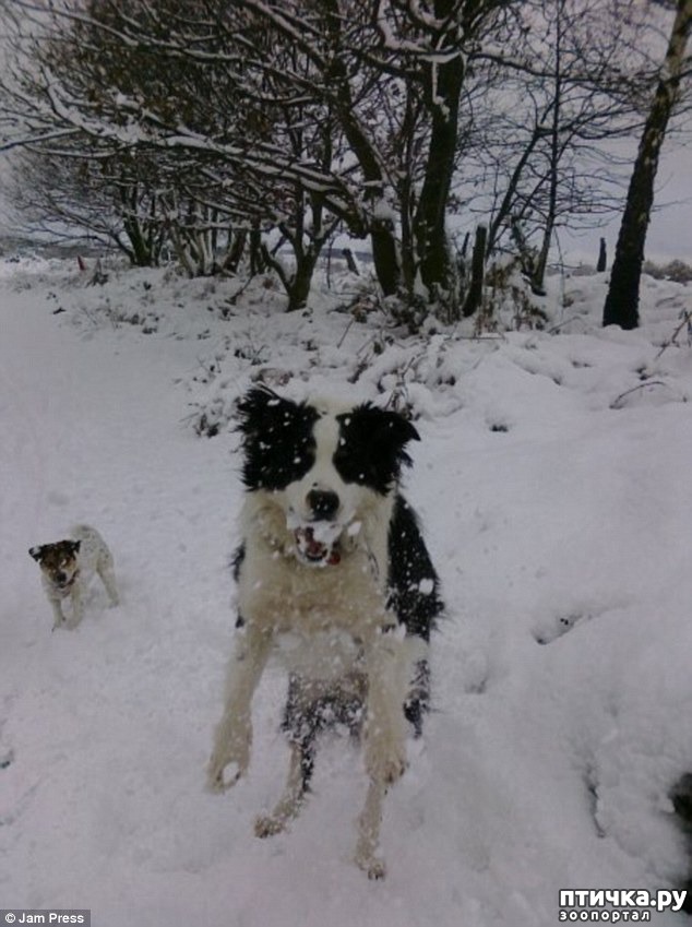 ���� 15: ��������, ��������� ���� �������)))