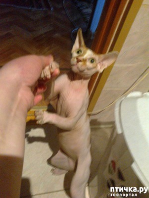 ����: ��� ������, � ���� ����)))