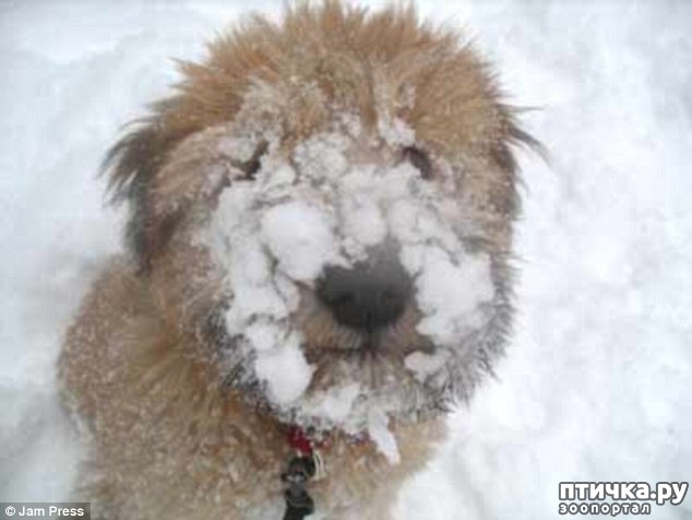 ���� 16: ��������, ��������� ���� �������)))