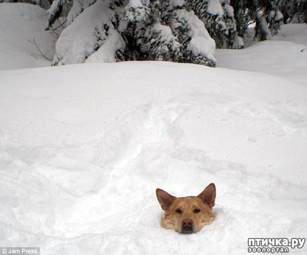 ���� 17: ��������, ��������� ���� �������)))