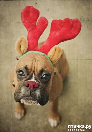 ����: ���� � ����������� ����� �����)))