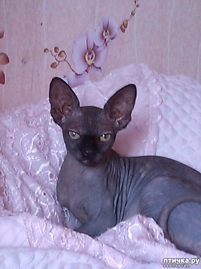 ���� 2: ���� ��������� �������