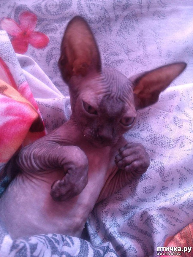 ���� 3: ���� ��������� �������