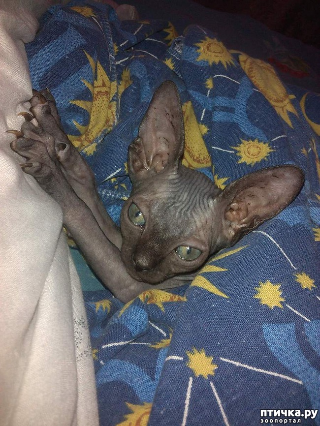 ���� 4: ���� ��������� �������