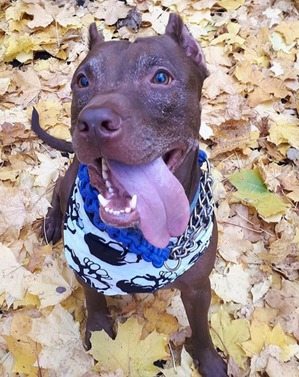 ����: ��� ��� ������� ������ �����, ������� �� ����. ����������!