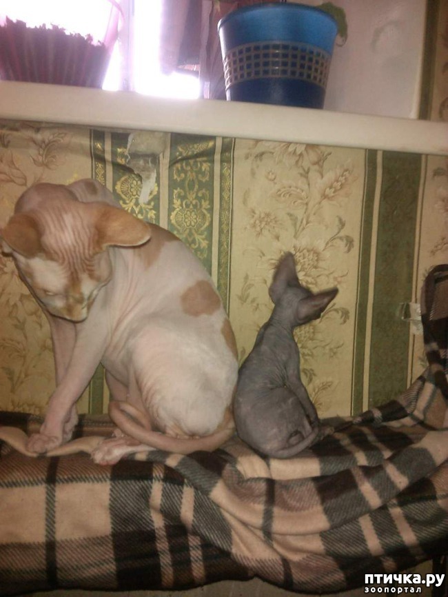 ���� 5: ���� ��������� �������