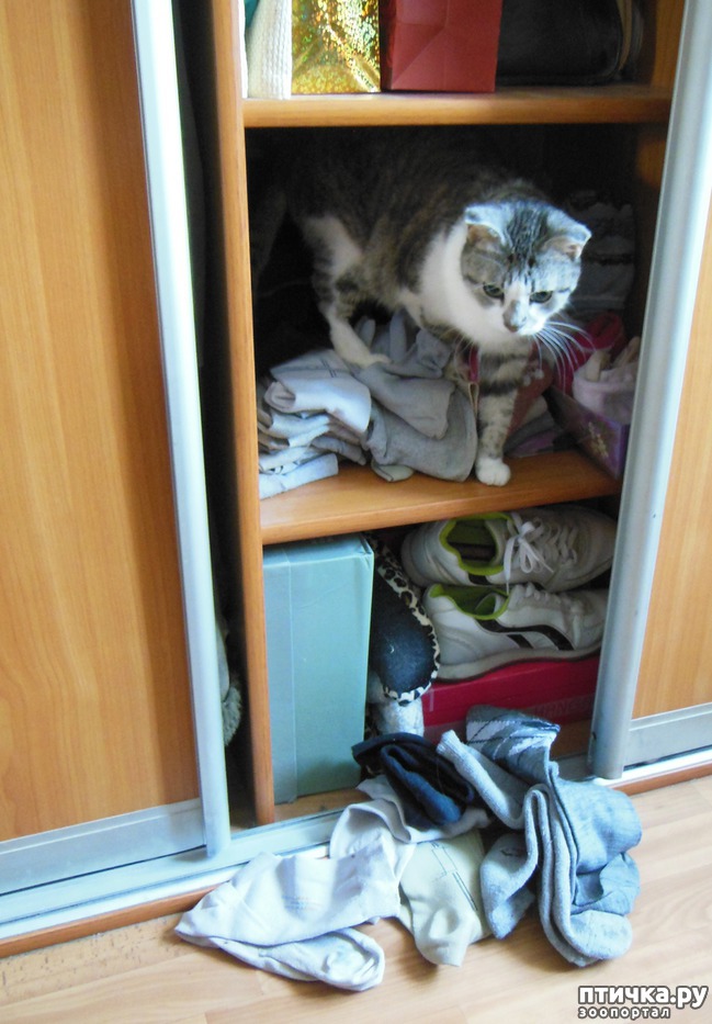 ���� 1: � ���� ����� �������� ��� �� ���������?